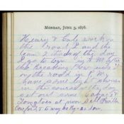 1878 Diary Entry of Farmer Newton S. Persons