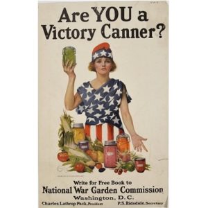 World War I on the Northfield Home Front Primary Source Set ...