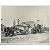 Steam-Powered Threshing Crew, 1920